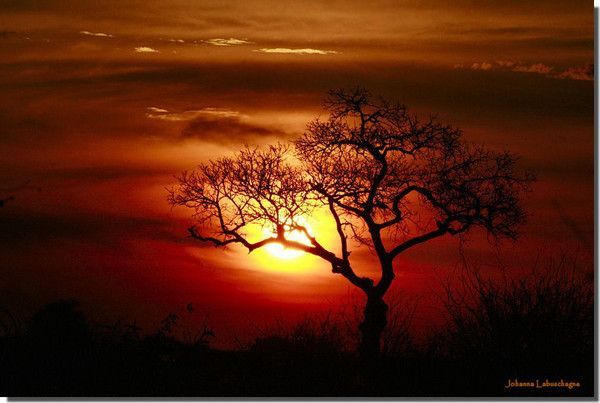 coucher de soleil